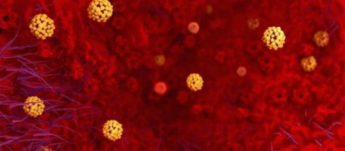 Σε επιφυλακή η Ελλάδα - Στο «κόκκινο» συσκέψεις και ασκήσεις ετοιμότητας για τον κορωνοϊό